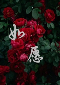 如愿(1v1)h