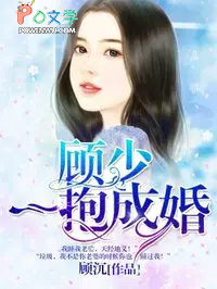 顾少一抱成婚