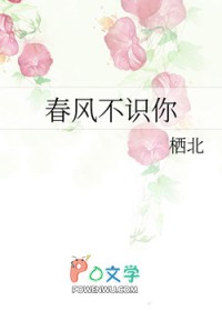 春风不识你