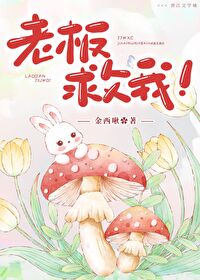 老板救我!