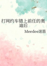 打网约车错上前任的奥迪后