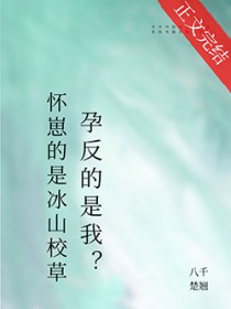怀崽的是清冷美人，宿敌孕反