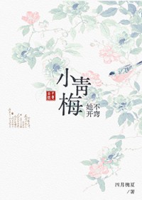 小青梅她不开窍