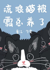 流浪猫被霸总养了