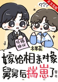 嫁给相亲对象舅舅后揣崽了[重生]