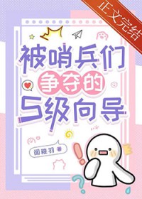 被哨兵们争夺的S级向导