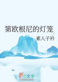 第欧根尼的灯笼