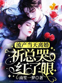 流产当天离婚,祈总哭红了眼